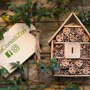 La Corte Di Zizi Holiday home Cernobbio